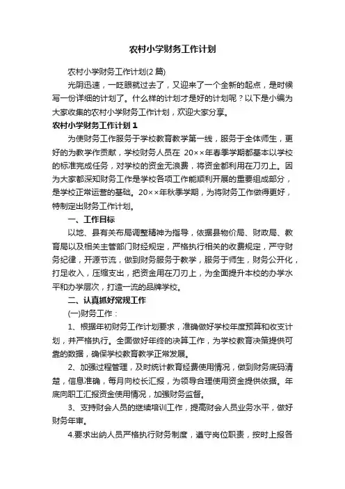 农村小学财务工作计划