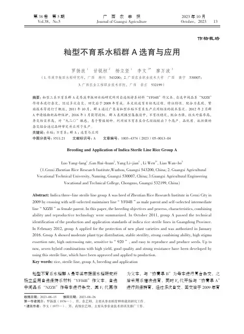 籼型不育系水稻群A_选育与应用