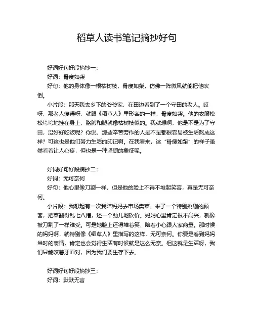 稻草人读书笔记摘抄好句