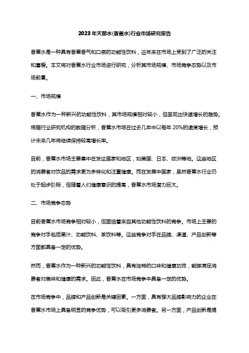 2023年天那水(香蕉水)行业市场研究报告