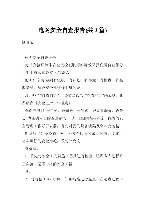 电网安全自查报告（共3篇）
