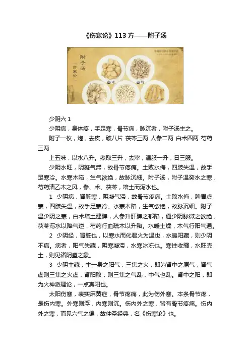 《伤寒论》113方——附子汤