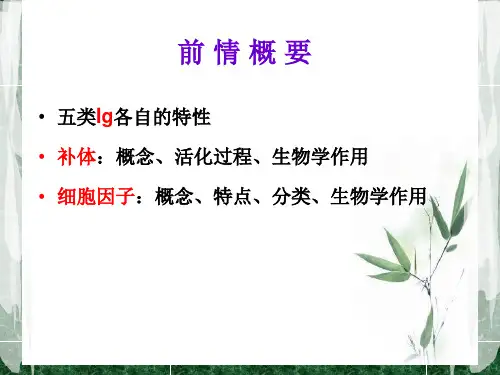 七MHC精品PPT课件