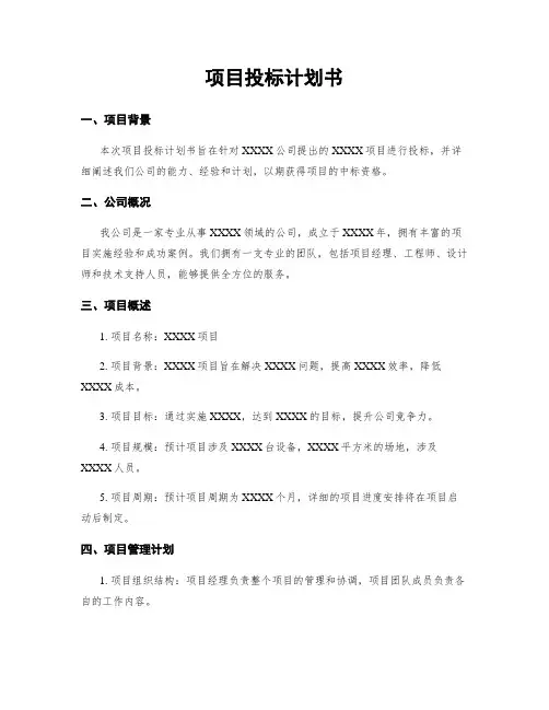 项目投标计划书