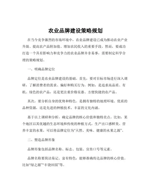 农业品牌建设策略规划