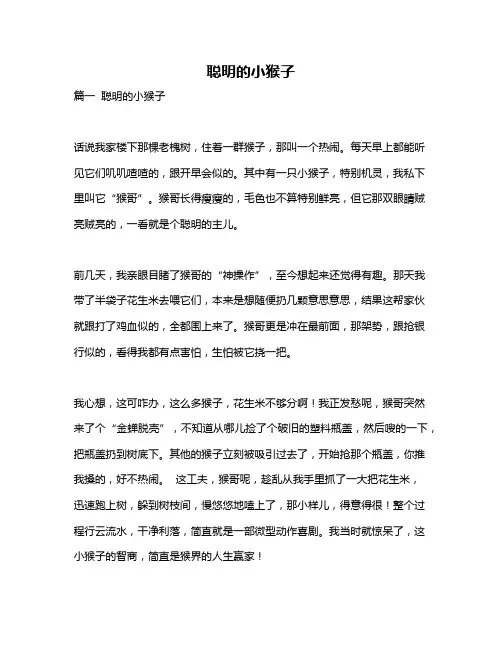 作文《聪明的小猴子》