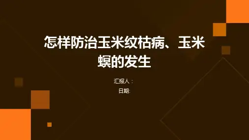 怎样防治玉米纹枯病、玉米螟的发生