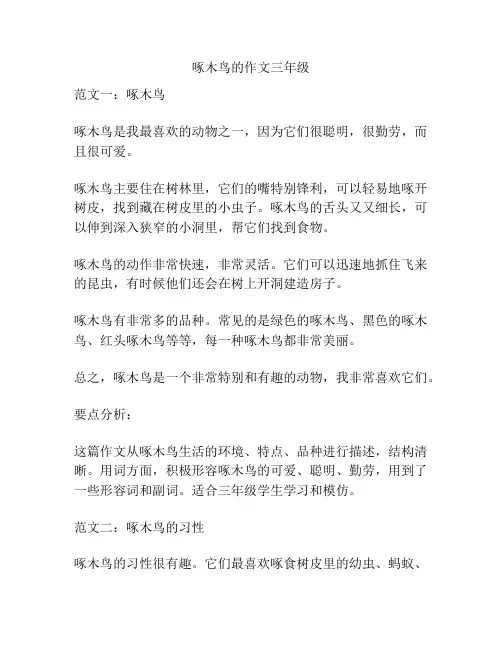 啄木鸟的作文三年级