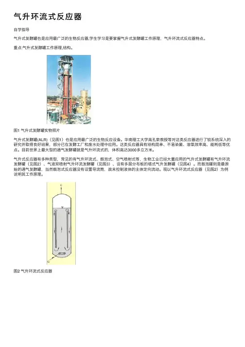 气升环流式反应器