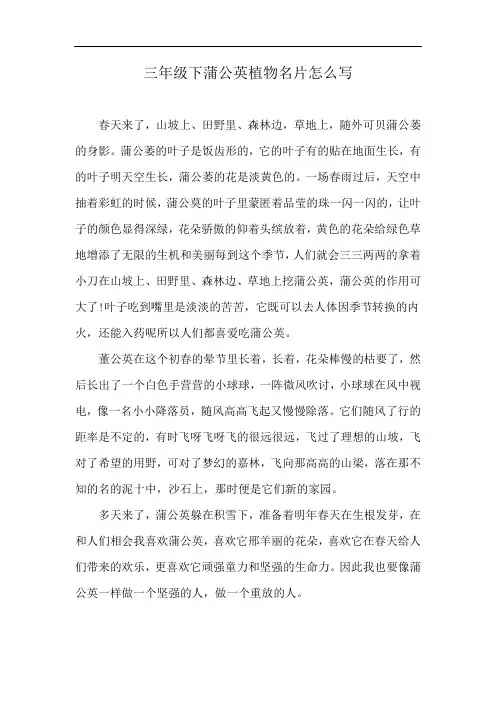 三年级下蒲公英植物名片怎么写