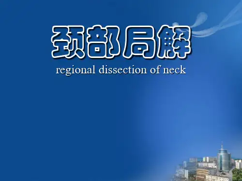 局部解剖学颈部