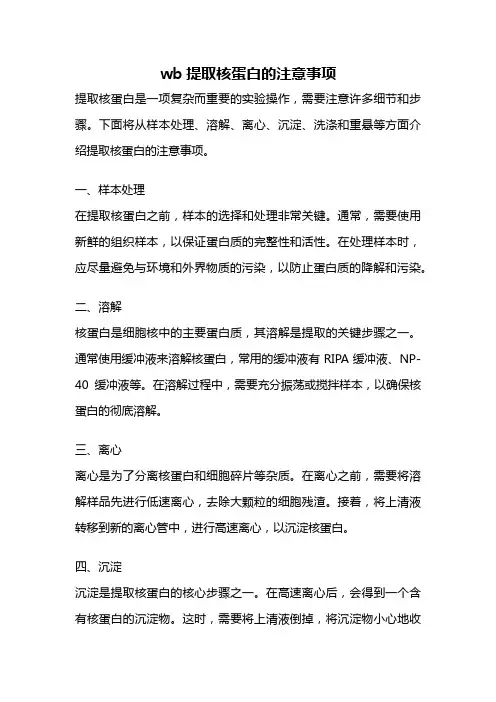 wb提取核蛋白的注意事项