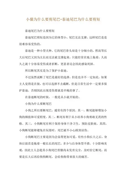 小猫为什么要剪尾巴-泰迪尾巴为什么要剪短