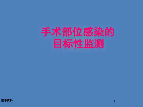 手术部位感染目标性监测课件