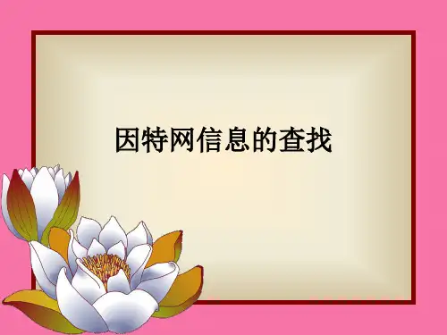 因特网信息查找ppt课件
