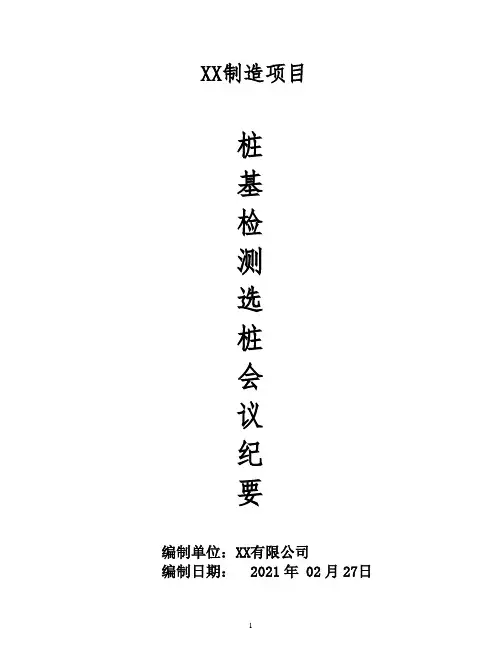 检测补桩会议纪要_20210227