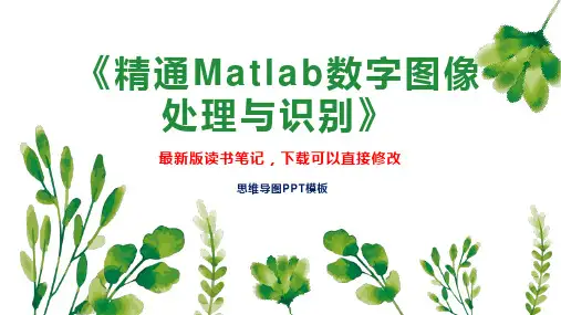 《精通Matlab数字图像处理与识别》读书笔记思维导图PPT模板下载