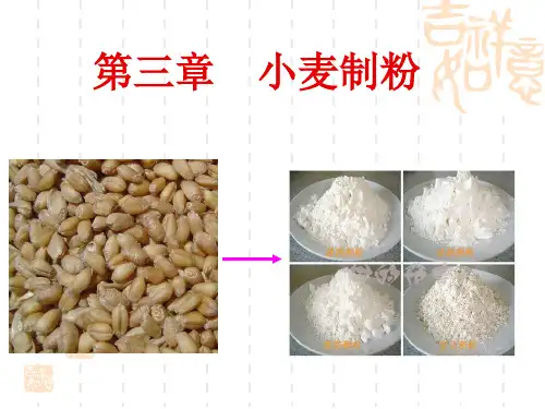 第三章  小麦制粉