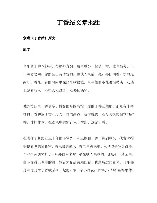 丁香结文章批注