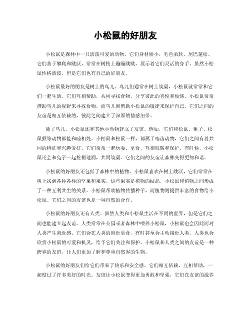 小松鼠的好朋友