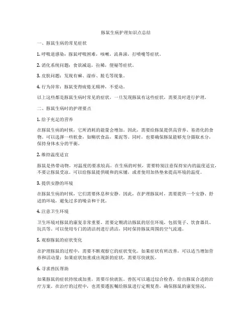 豚鼠生病护理知识点总结