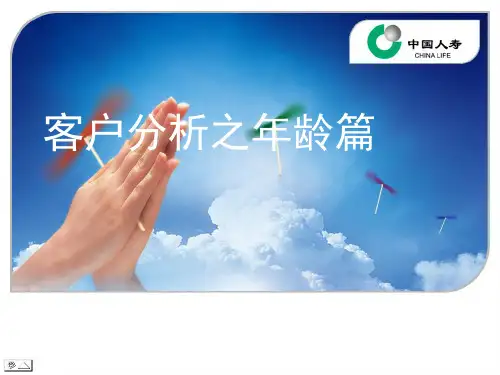 客户类型分析PPT课件