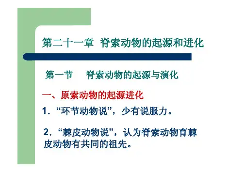 第二十一章脊索动物的起源和进化