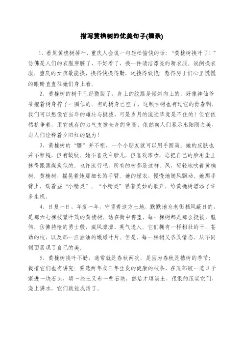 描写黄桷树的优美句子（摘录）