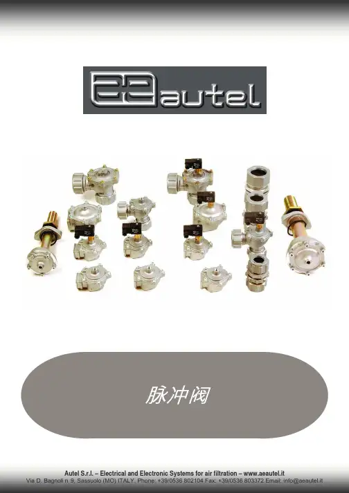 欧特尔电磁脉冲阀(Valves_China)