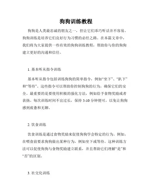 狗狗训练教程