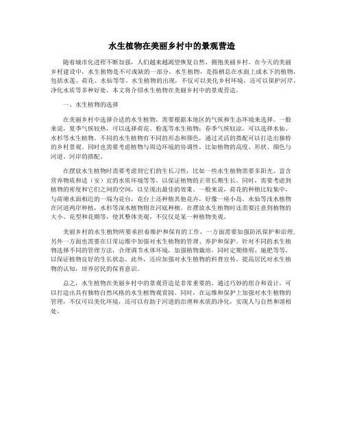 水生植物在美丽乡村中的景观营造