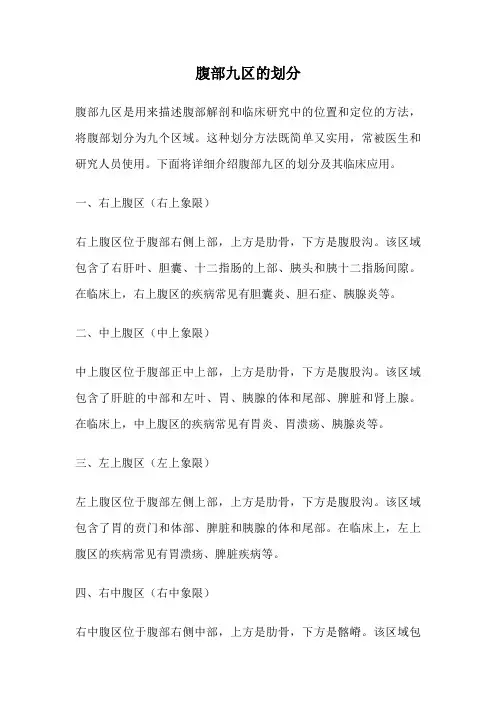 腹部九区的划分