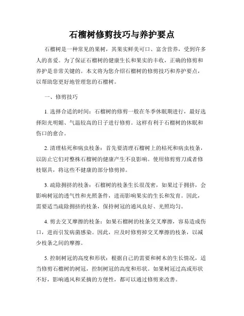 石榴树修剪技巧与养护要点