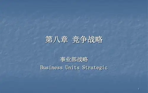 竞争战略事业部战略ppt课件