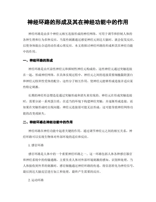 神经环路的形成及其在神经功能中的作用