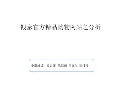 贸大管理信息系统案例分析银泰网