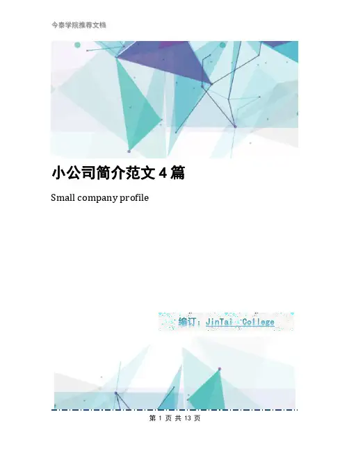 小公司简介范文4篇