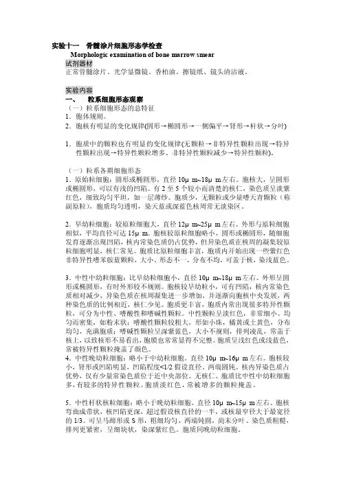 骨髓涂片细胞形态学检查[试题]