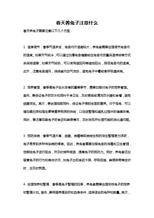 春天养兔子注意什么