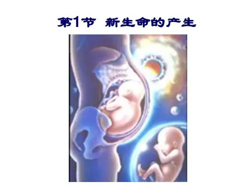 1.1新生命的诞生(第1课时)PPT课件(初中科学)