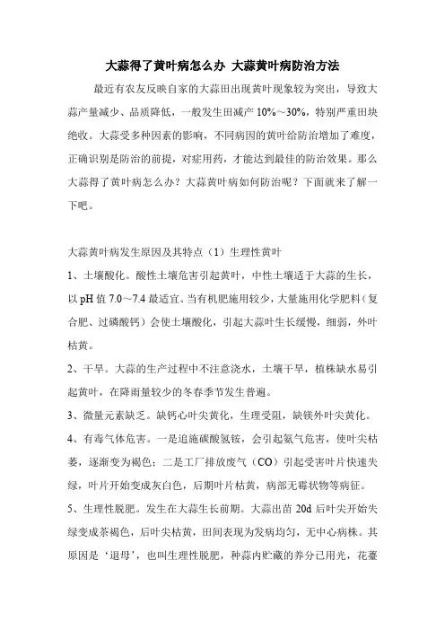 大蒜得了黄叶病怎么办 大蒜黄叶病防治方法