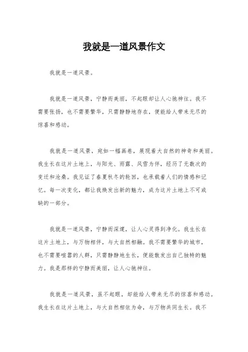 我就是一道风景作文