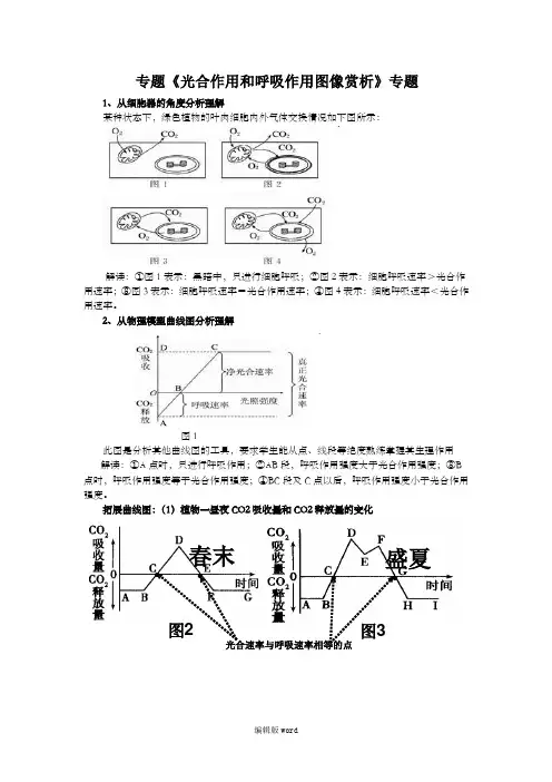 光合作用和呼吸作用图像赏析