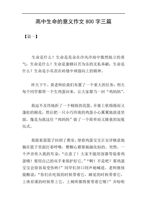 高中生命的意义作文800字三篇