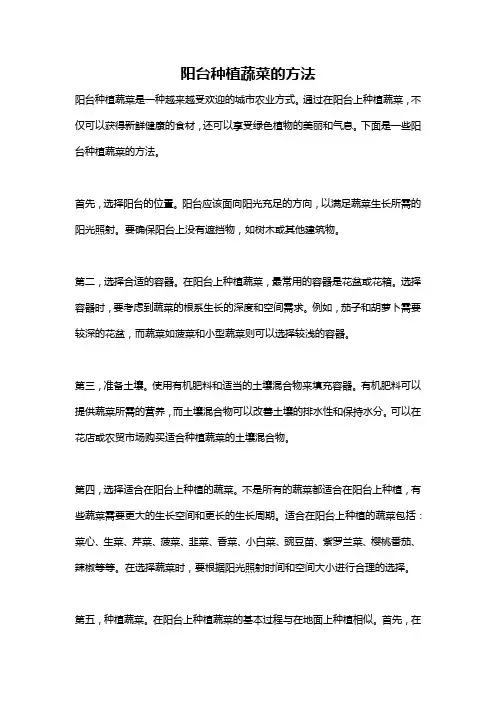 阳台种植蔬菜的方法