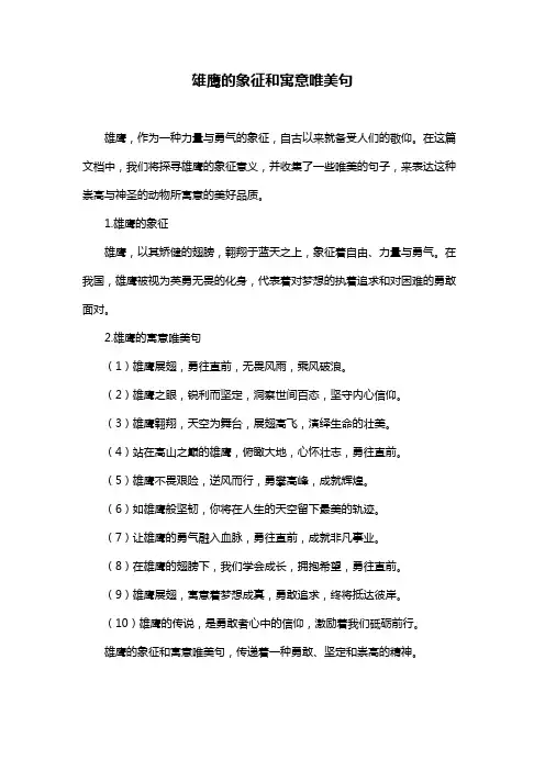 雄鹰的象征和寓意唯美句