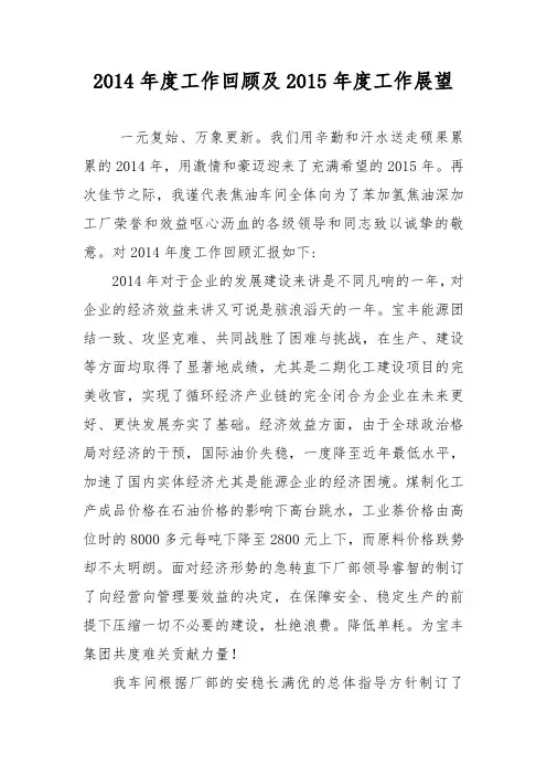 2014年度工作总结及2015年度工作计划