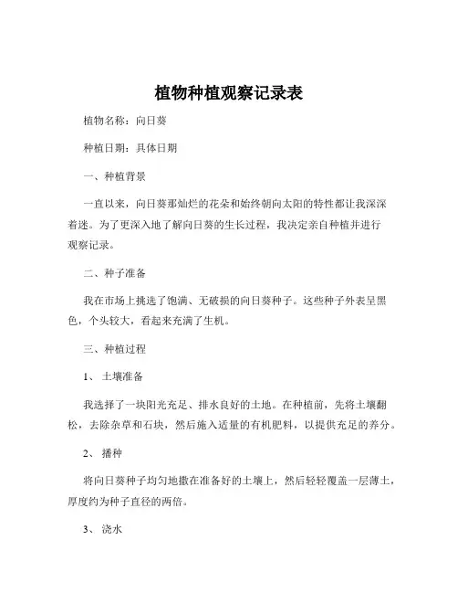 植物种植观察记录表