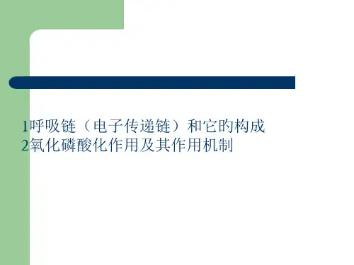 电子传递和氧化磷酸化