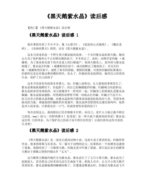 《黑天鹅紫水晶》读后感